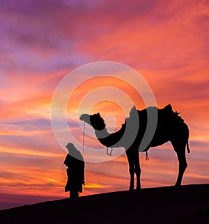 Desert scence with camel and dramatic sky