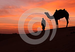 Desert scence with camel and dramatic sky