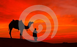 Desert scence with camel and dramatic sky