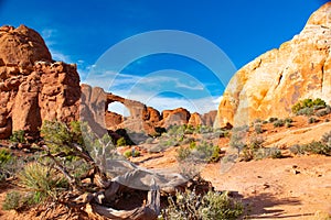 Desert scene near Moab, Utah, USA