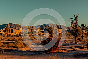 Desert scene with a row of palm trees in the foreground and a building in the distant background