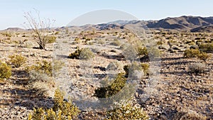 Desert scenery #2. Southern Anza Borrego Desert California