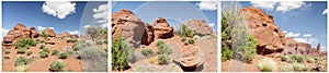 Desert sandstone scenery sagebrush red rocks collage