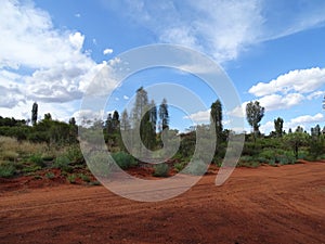 Desert scenery in Yalara, Northern Territory photo