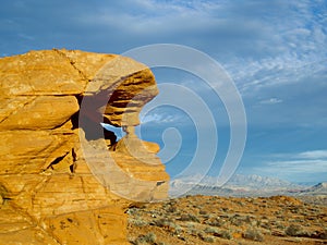 Desert Sentinal photo