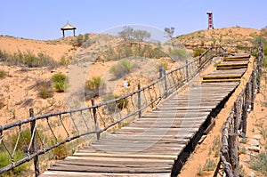 Wood Walkway in Tengger Desert