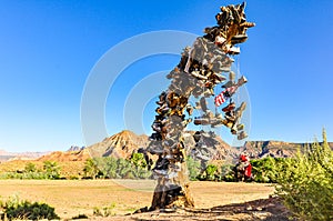 Desert Shoe Tree - Utah photo