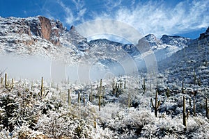 Desert snowfall photo