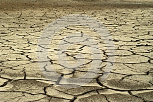 Desert soil with cracks pattern on dry clay