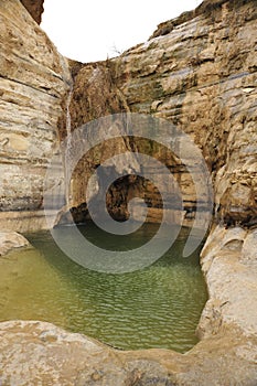 Desert spring in Negev.