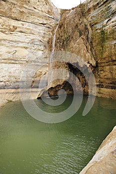 Desert spring in Negev.