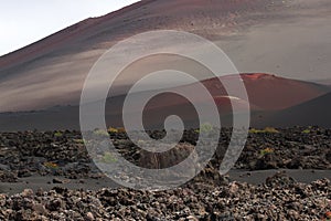 Desert stone volcanic landscape in Lanzarote, Canary Islands