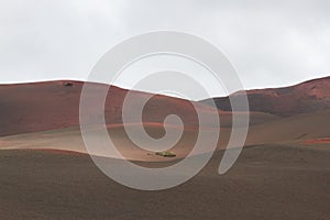 Desert stone volcanic landscape in Lanzarote, Canary Islands