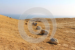 Desert Stones at Paracas National Reserve