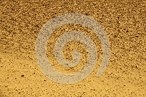 desert stones sand yellow texture
