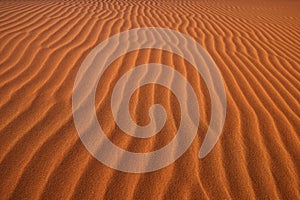 Desert structure, the surface of the red dune with sand waves. Namib.