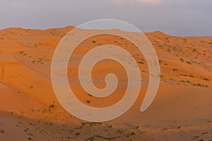 Desert at sunrise brings out bold burnt orange colored sand making a great desert landscape on rippling or rolling hills in Ras al