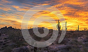 Desert Sunrise Landscape At Browns Ranch In North Scottsdale