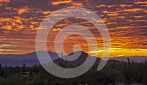 Desert Sunrise Skies Near Phoenix, AZ
