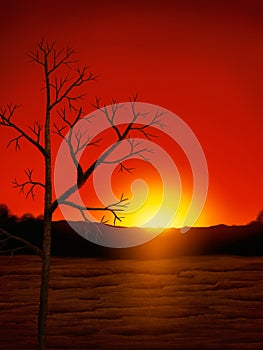 Desert Sunset Digital Painting