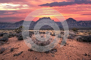 Desert Sunset at Red Rock Canyon Conservation Area