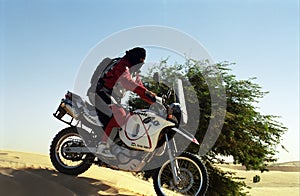 Desert tarveler , Mauritania