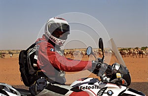 Desert tarveler , Mauritania