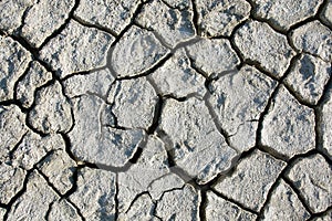Desert texture, parched and cracked earth