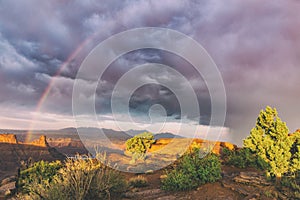 Desert Thunderstorm with Rainbow