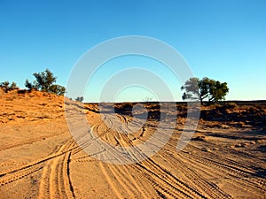 Desert Tracks