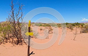 Desert trail and direction arrow sign