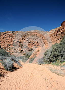 Desert Trail - Snow Canyon State Park