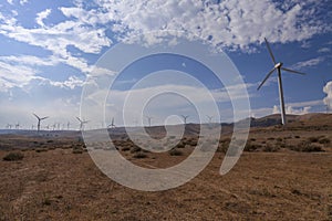 Desert Turbines