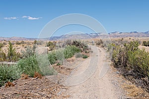 Desert unpaved road toward distant mountains
