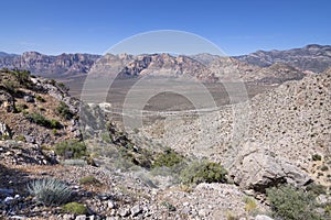 Desert valley of Red Rock Canyon, Nevada