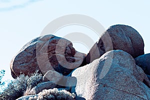 Rock formation in Joshua Tree National Park