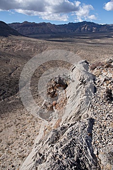 Desert Vegetation, Red Rock Conservation Area, Nevada, USA