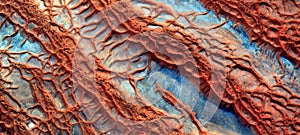 Desert veins photo