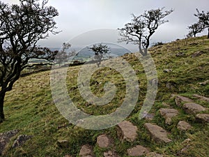 Desert view of Irish hills