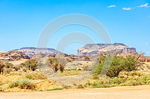 Desert view with mountains formations landscape at Hegra, Al Ula, Saudi Arabia photo