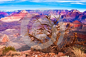 Desert view of World Famous Grand Canyon National Park,Arizona