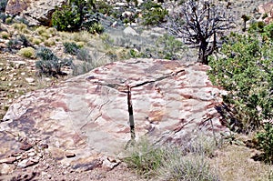 Desert Views, Red Rock Conservation Area, Nevada, USA