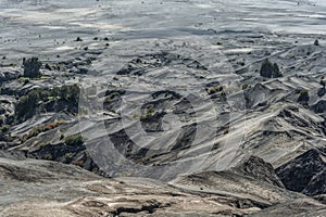Desert of Volcano Bromo