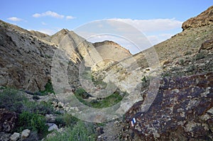 Desert wadi in Negev at spring, Israel.