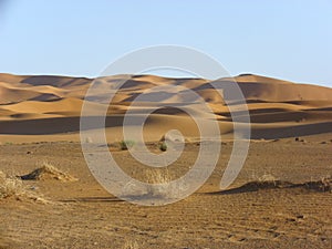 Desert wasteland sand dune sahara