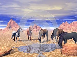 Desert Watering Hole