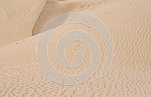 Desert waves