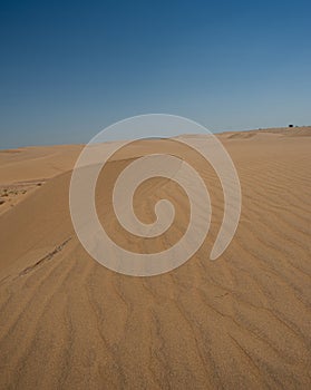 Desert of Western Rajasthan