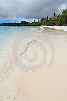 Desert white sandy beach