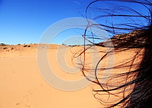 Desierto viento 